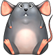 生肖常规赛 5 mouse80