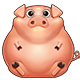 生肖常规赛 16 pig80