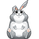 生肖常规赛 8 rabbit80